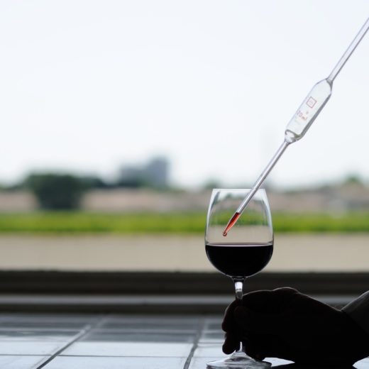 Laboratoire œnologique laboratoire œnologique intégré